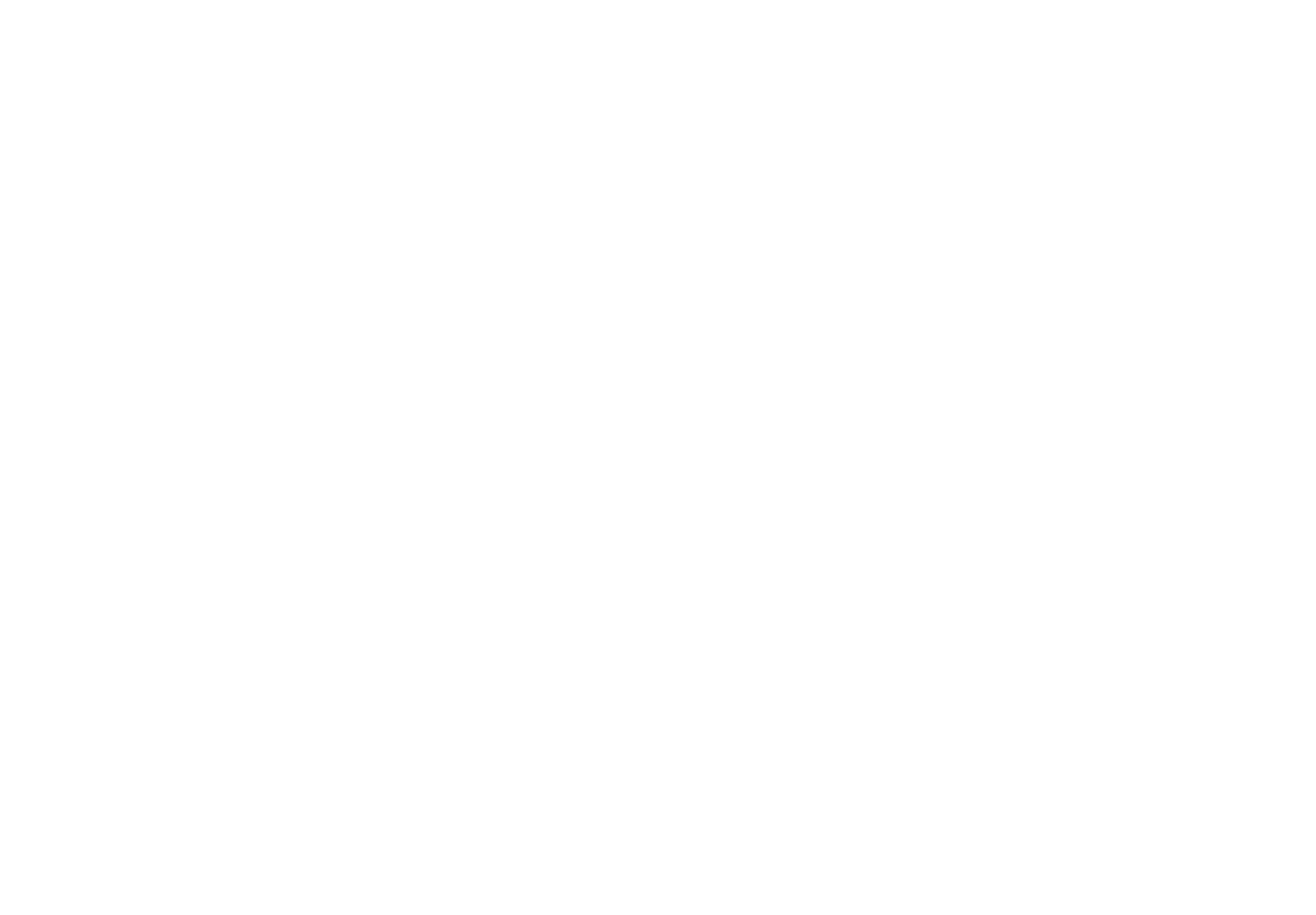 Viking Cargo Logistics
